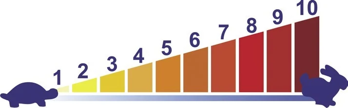 Schema delle dieci velocità di agitazione programmabili del CHEF 12 LCD